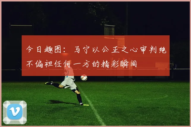 今日趣图：马宁以公正之心审判绝不偏袒任何一方的精彩瞬间