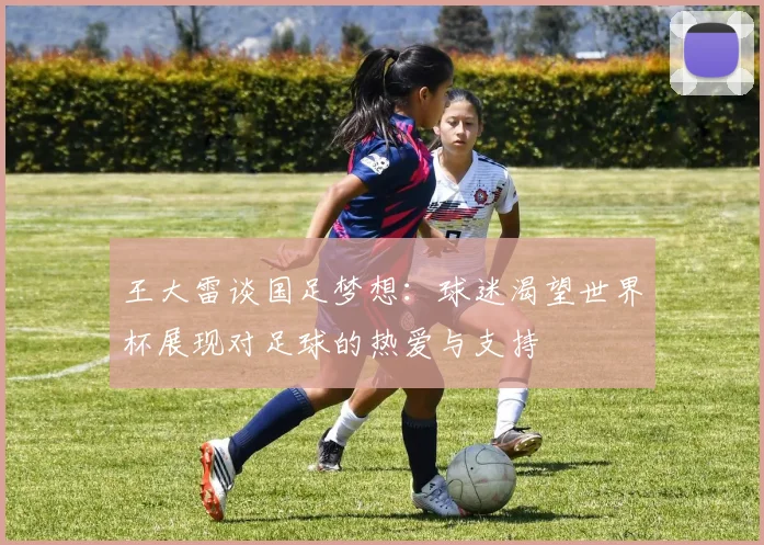 王大雷谈国足梦想：球迷渴望世界杯展现对足球的热爱与支持
