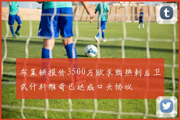 布莱顿报价3500万欧求购热刺后卫武什科维奇已达成口头协议